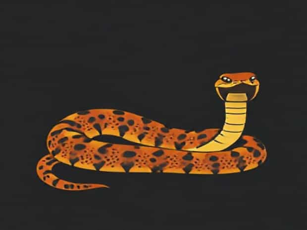 Key To Identify Poisonous And Nonpoisonous Snakes
