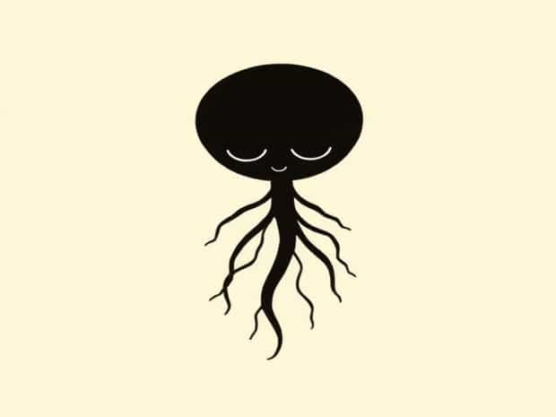 Kid Friendly Definition Of Zygote