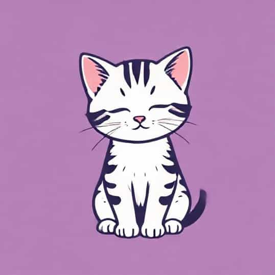 Kitten Stopped Being Affectionate