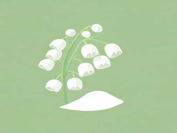 Lily Of The Valley Talcum Powder