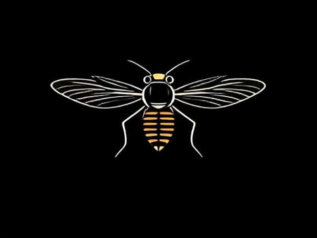 Live Wingless Fruit Flies