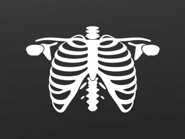 Diaphragm And Bony Thorax Are Unremarkable Meaning