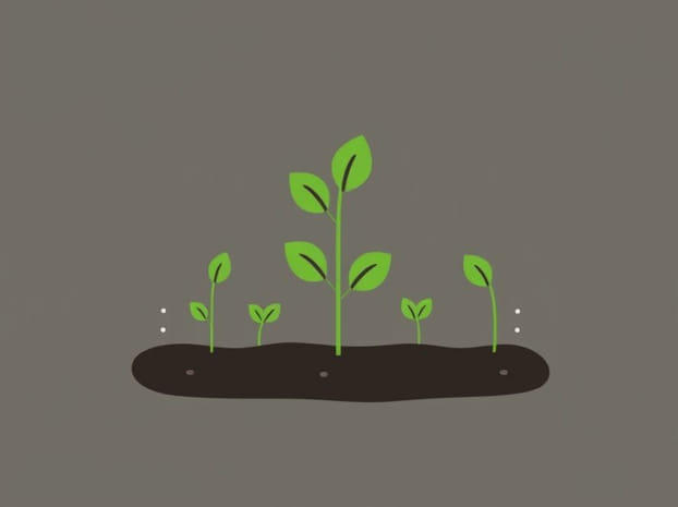 Easy Veggies To Grow