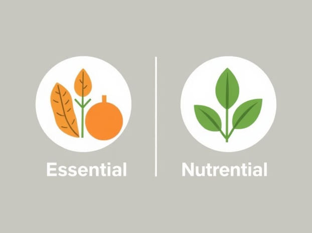 Essential Nutrients Vs Nonessential