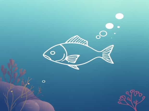 Fish Seeing In Dream
