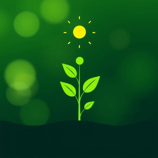 Function Of Chlorophyll In Photosynthesis