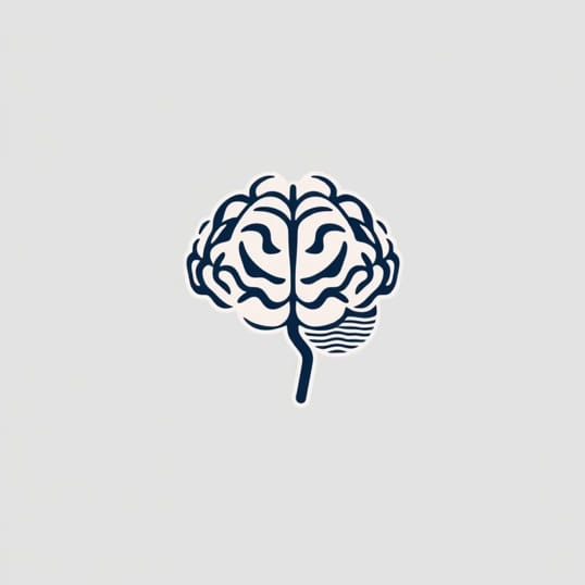 Give Any Two Functions Of Cerebellum