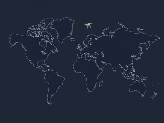 Global Undersea Cable Map