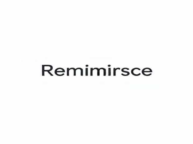 Google How Do You Spell Reminisce