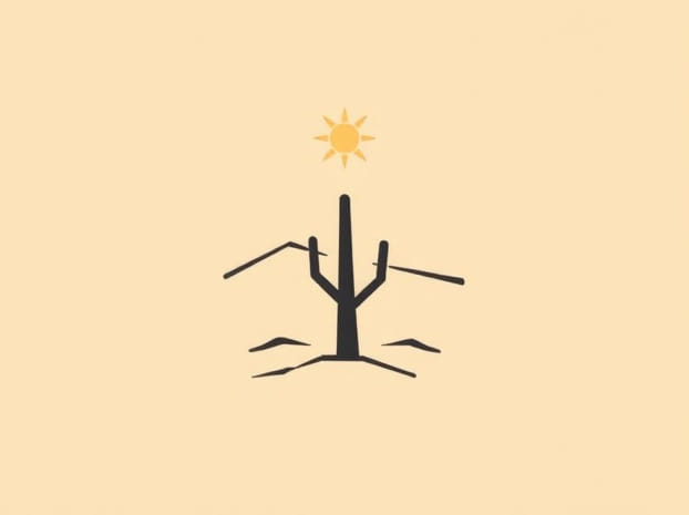 How Can You Prevent Desertification