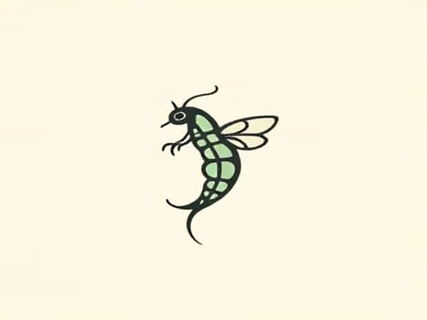 How Do You Spell Chrysalis