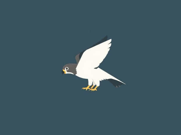 How Does A Sparrowhawk Kill A Pigeon?