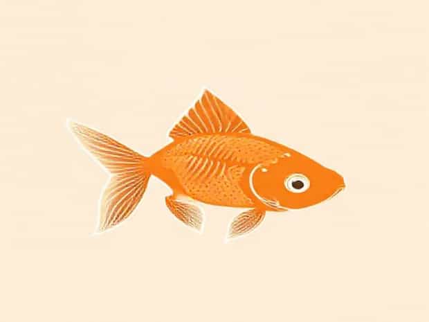 How Much Fat Is In Goldfish