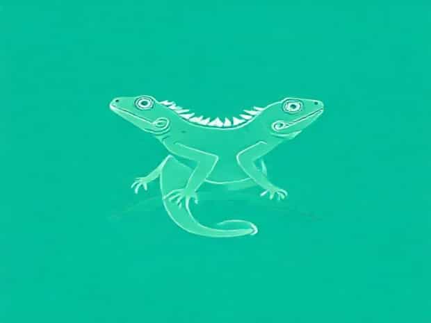 How Much For Iguana In Florida