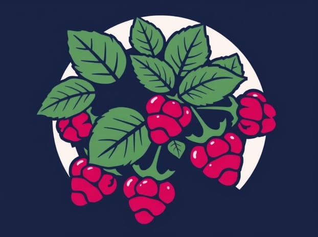 How Much Is A Raspberry Bush