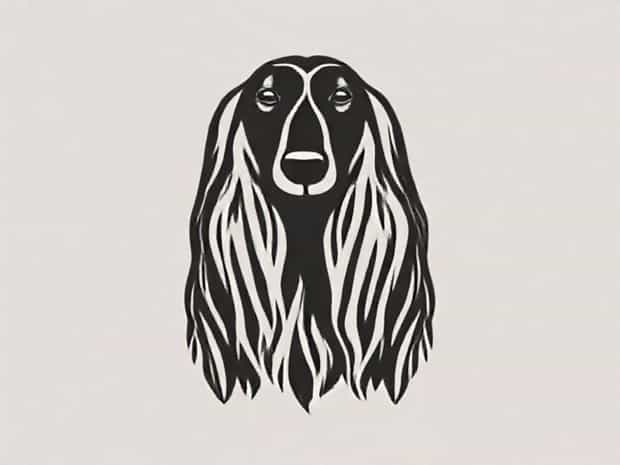 How Much Is An Afghan Hound