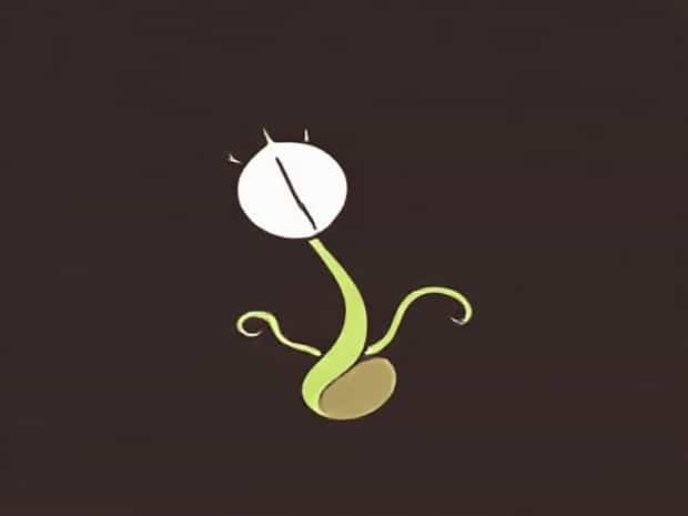 How To Care For A Venus Flytrap