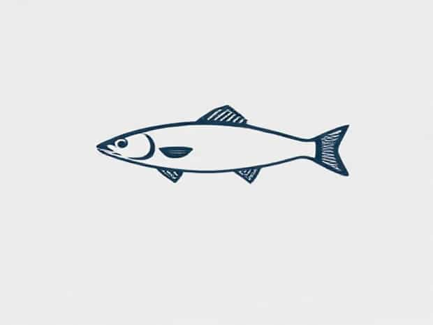 How To Fish A Fluke