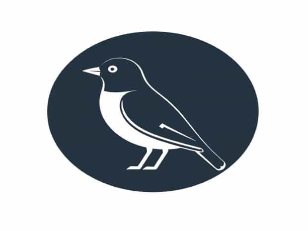 How To Speak Pidgin
