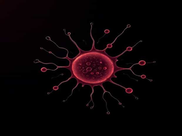 Hyperchromatic Nuclei And Scant Cytoplasm