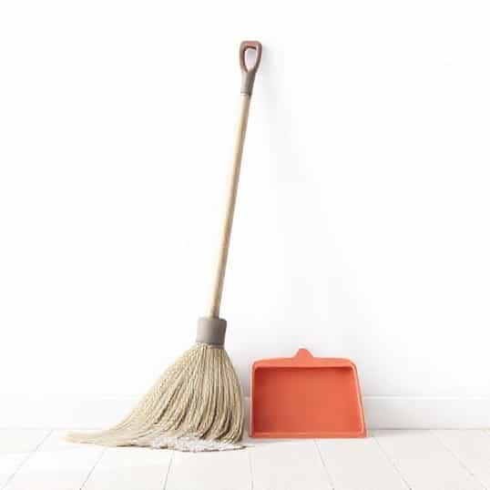 Indoor Broom And Dustpan Set