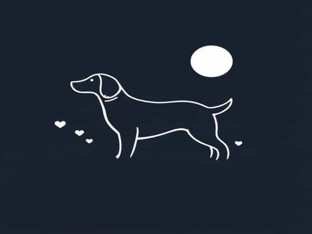 Is Allhallows Haven Dog Friendly