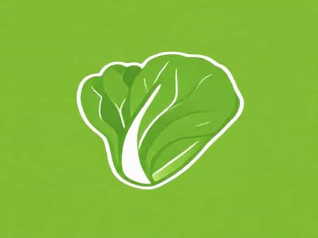 Is Romaine Lettuce Nutrition