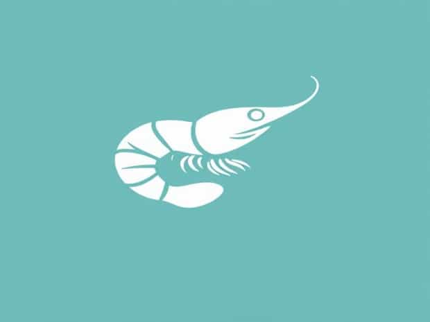 Is Seachem Flourish Safe For Shrimp