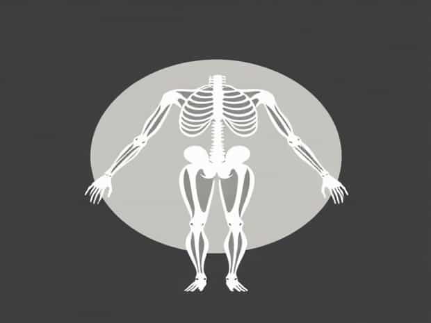 James Douglas ? Anatomist