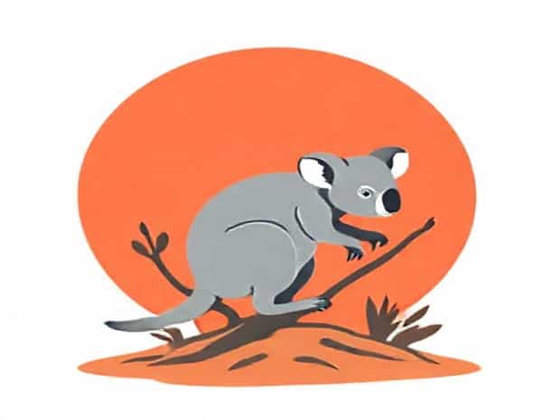 Kangaroo Island Koala Cull
