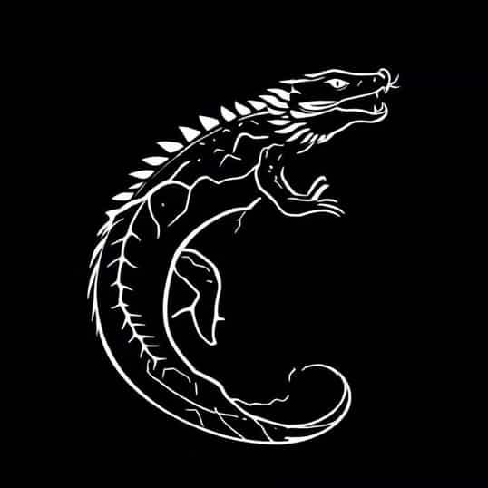Komodo Dragon Electrocuted By Eel