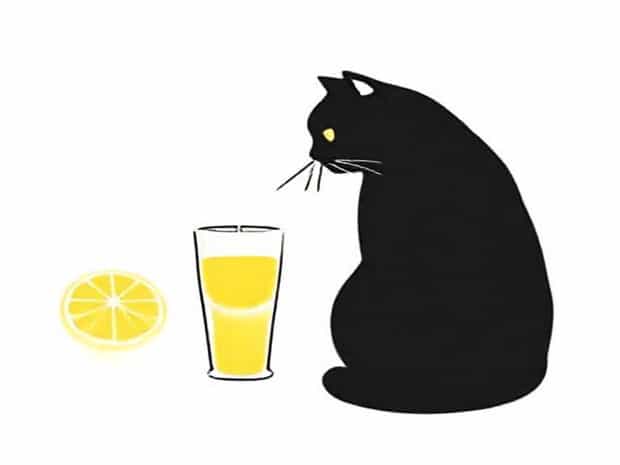 Lemon Juice To Deter Cats