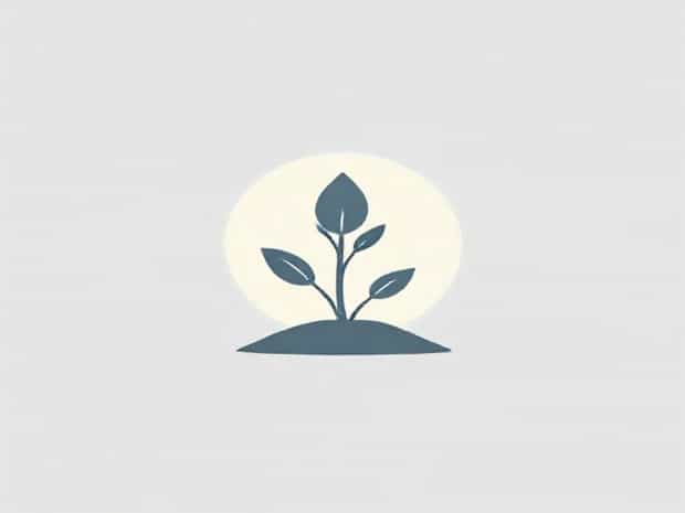 Main Purpose Of Photosynthesis