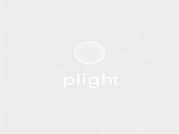 A Sentence With The Word Plight