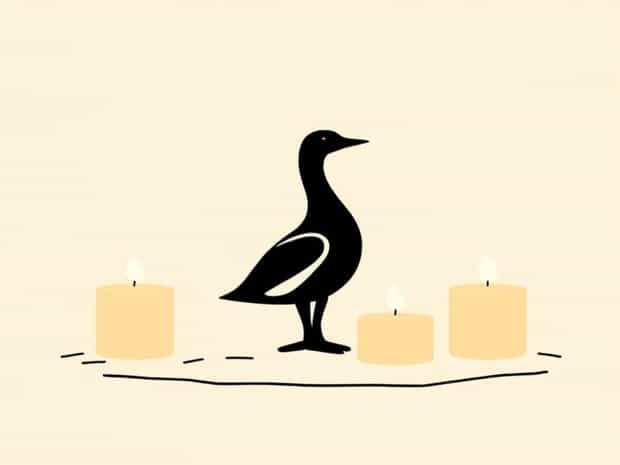 About Goose Creek Candles