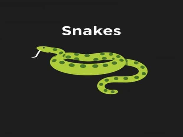 About Poisonous And Nonpoisonous Snakes