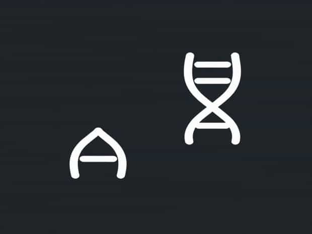 Adenine And Guanine Are Purines