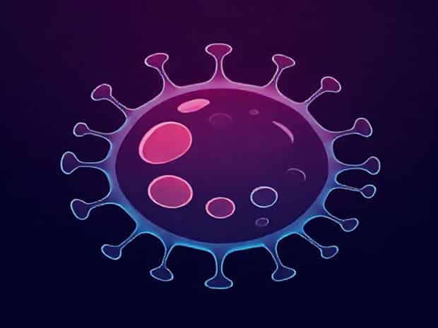 An Antigen Presenting Cell