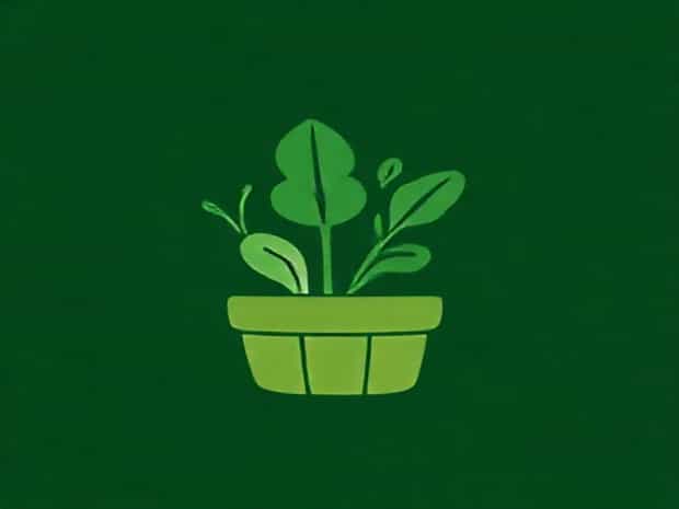 Andreas Greengrocer Chelsea Green