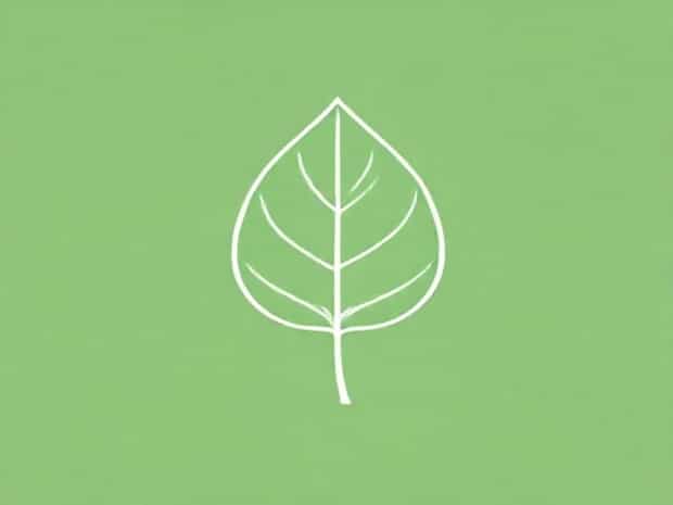 Benefits Of Betel Leaf For Skin