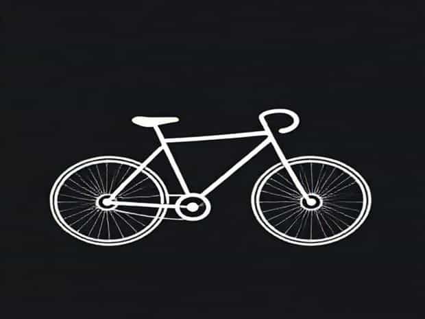 Bike Quick Release Skewer
