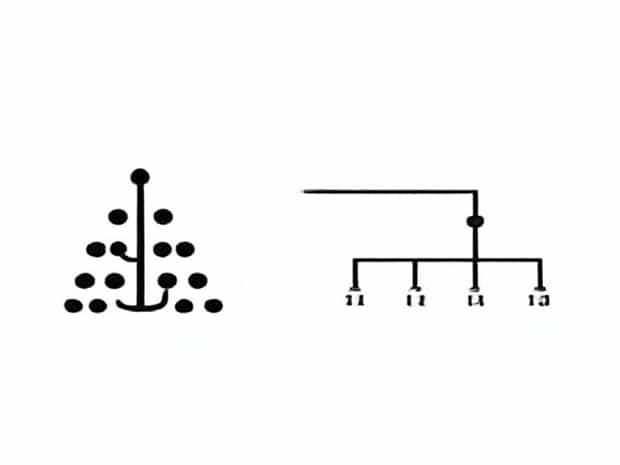 Binary Tree And Complete Binary Tree