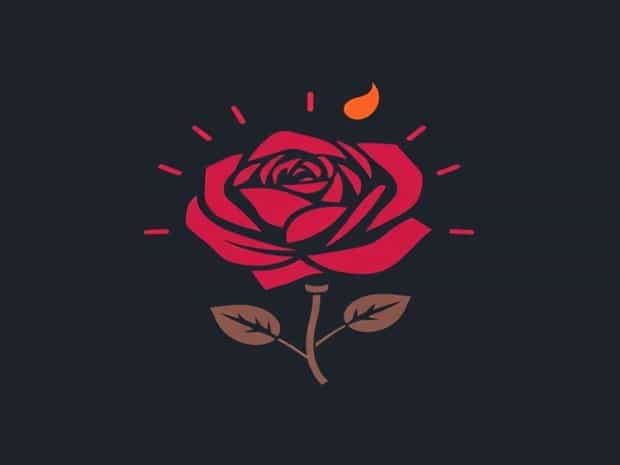 Blaze Improved Climbing Rose