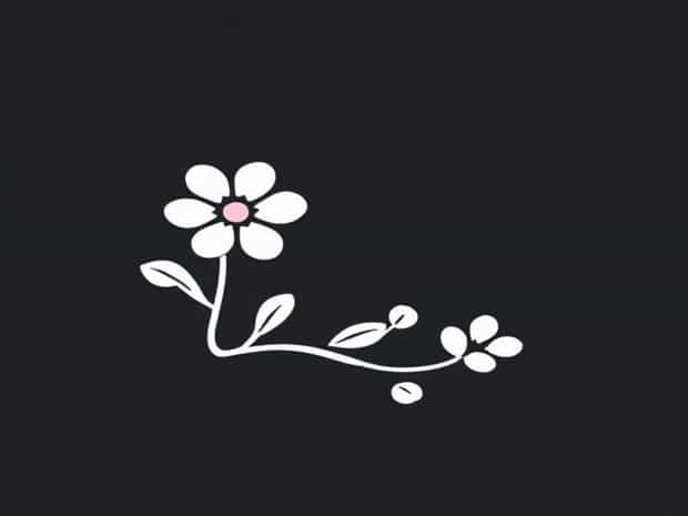 Blossom Corporation Incurred The Following Transactions