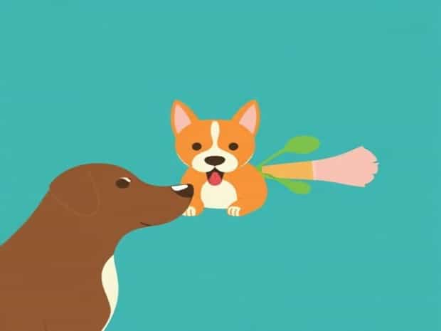 Can Dogs Eat Parsnip