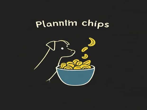 Can Dogs Eat Plantain Chips