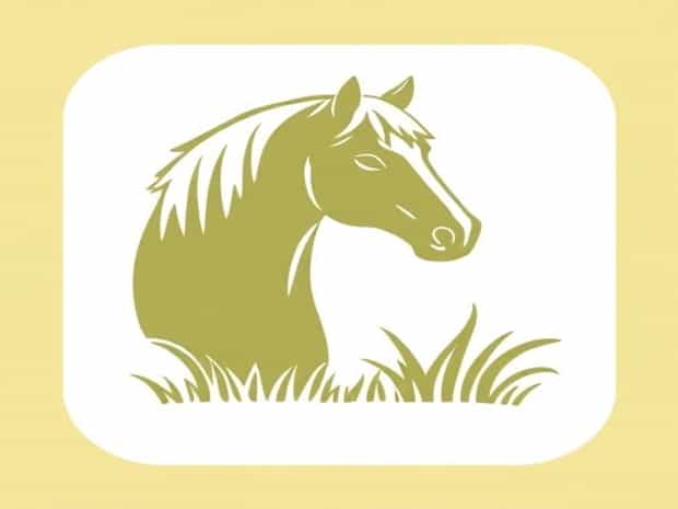 Can Horses Eat Silage