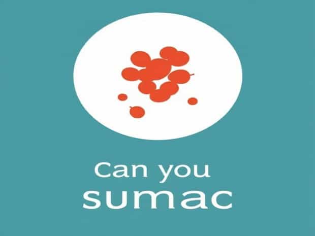 Can You Eat Sumac