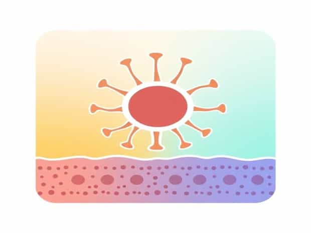 Cellular Barriers Of Innate Immunity