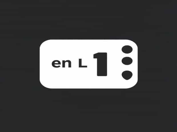 En Vivo Canal 11